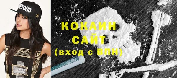 дмт Осташков