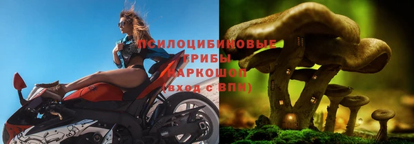 твердый Осинники