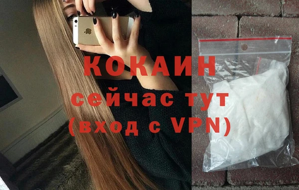 твердый Осинники