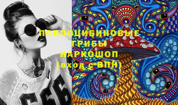 твердый Осинники