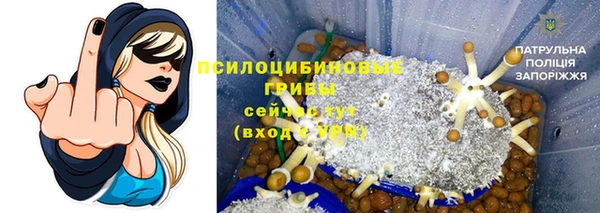 метамфетамин Болотное