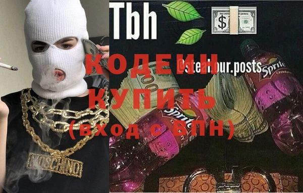 дмт Осташков