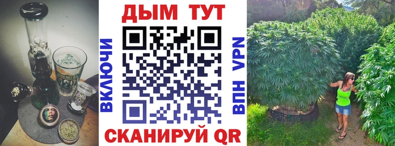 Канабис OG Kush купить цена Холм